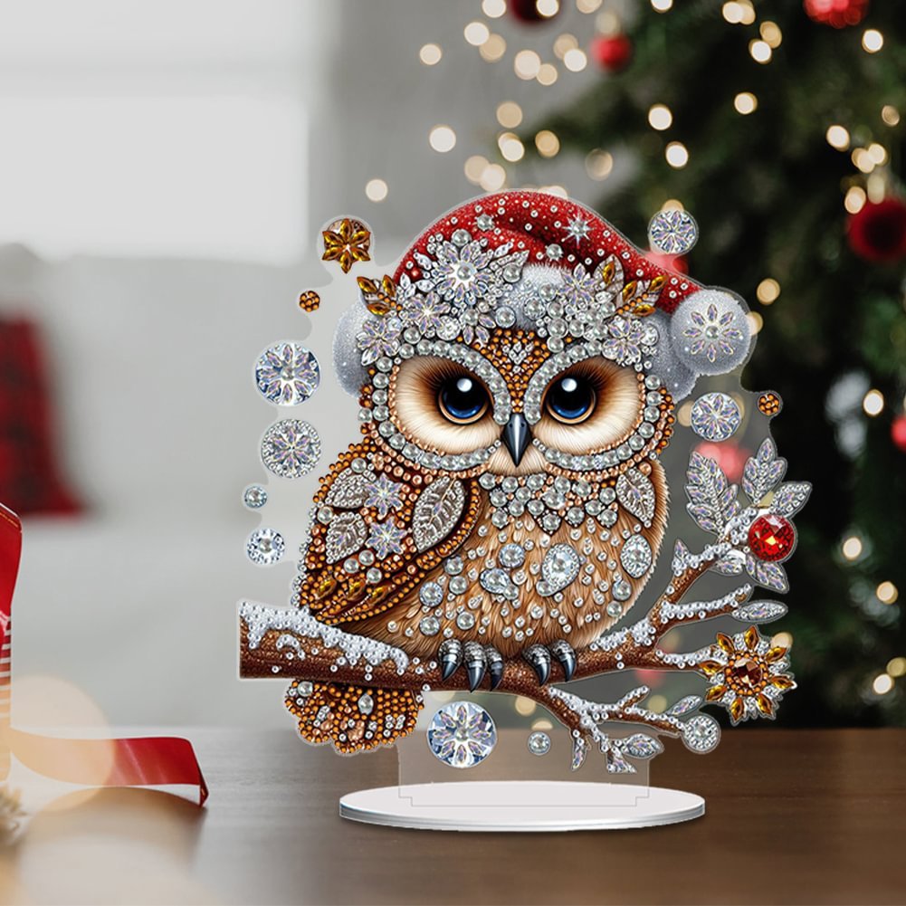 Acrylic Winter Owl 5D DIY Craft Ornament diy diamond Christmas Gift