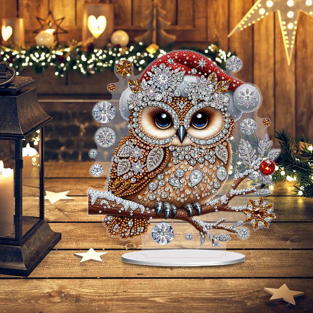 Acrylic Winter Owl 5D DIY Craft Ornament diy diamond Christmas Gift