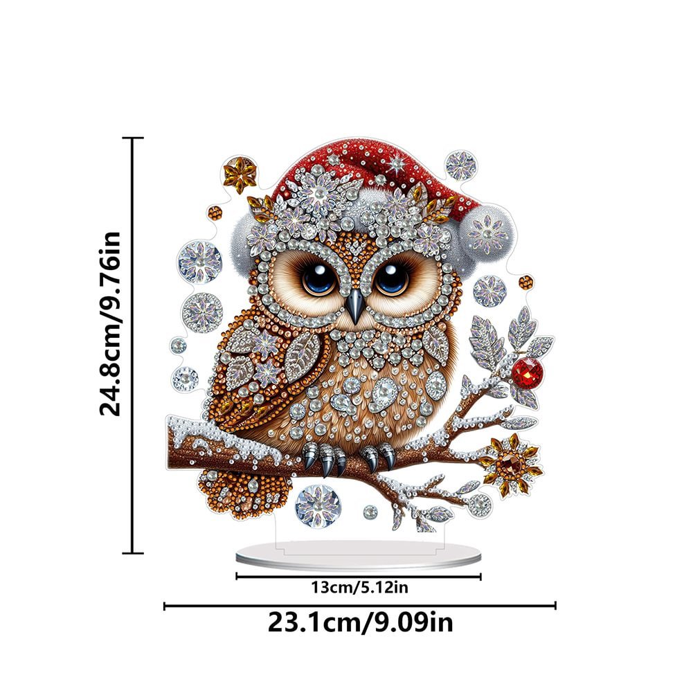 Acrylic Winter Owl 5D DIY Craft Ornament diy diamond Christmas Gift