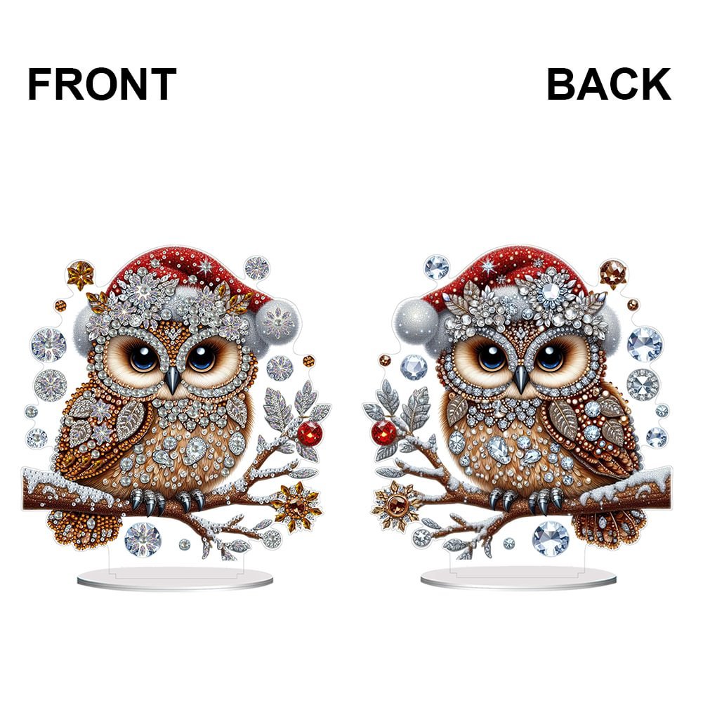 Acrylic Winter Owl 5D DIY Craft Ornament diy diamond Christmas Gift