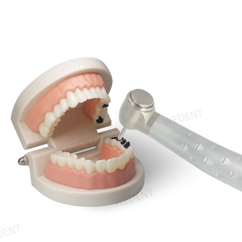 Dental Surgical Instruments 2/4 Holes Steel Handpiece Head 4 Water Spray High Speed Dental Handpiece without LED