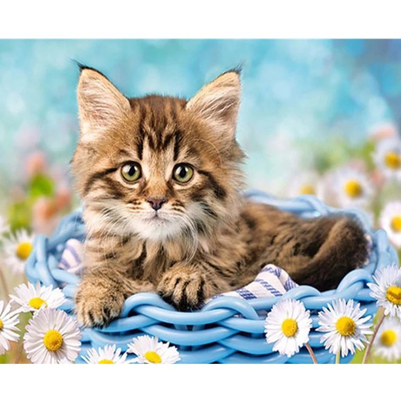 Factory Wholesale Cute Cat Custom diy 5d Art Wall Home Decor Painting Diamond Painting flower diamond painting