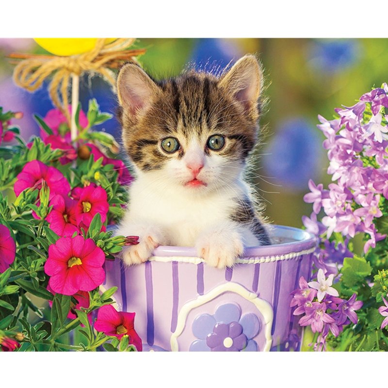 Factory Wholesale Cute Cat Custom diy 5d Art Wall Home Decor Painting Diamond Painting flower diamond painting