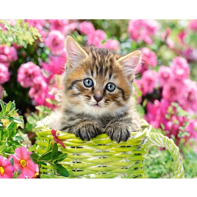 Factory Wholesale Cute Cat Custom diy 5d Art Wall Home Decor Painting Diamond Painting flower diamond painting