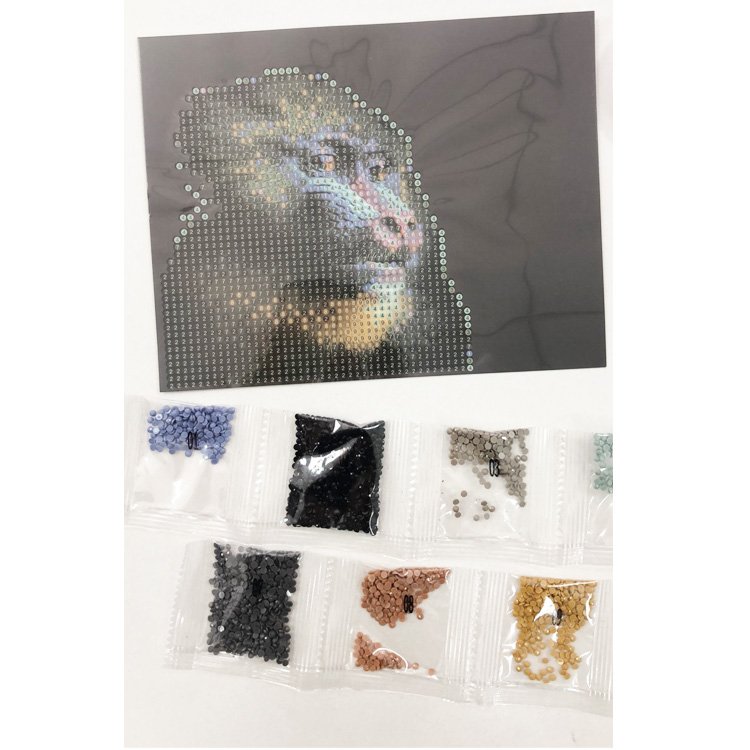 China supplier supply high quality full drill diamond painting square round cartoon portrait 5D Diy mosaic handicraft