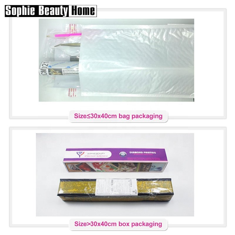 Professional 2.5Mm Full Square Drill Mosaic Diamond Painting