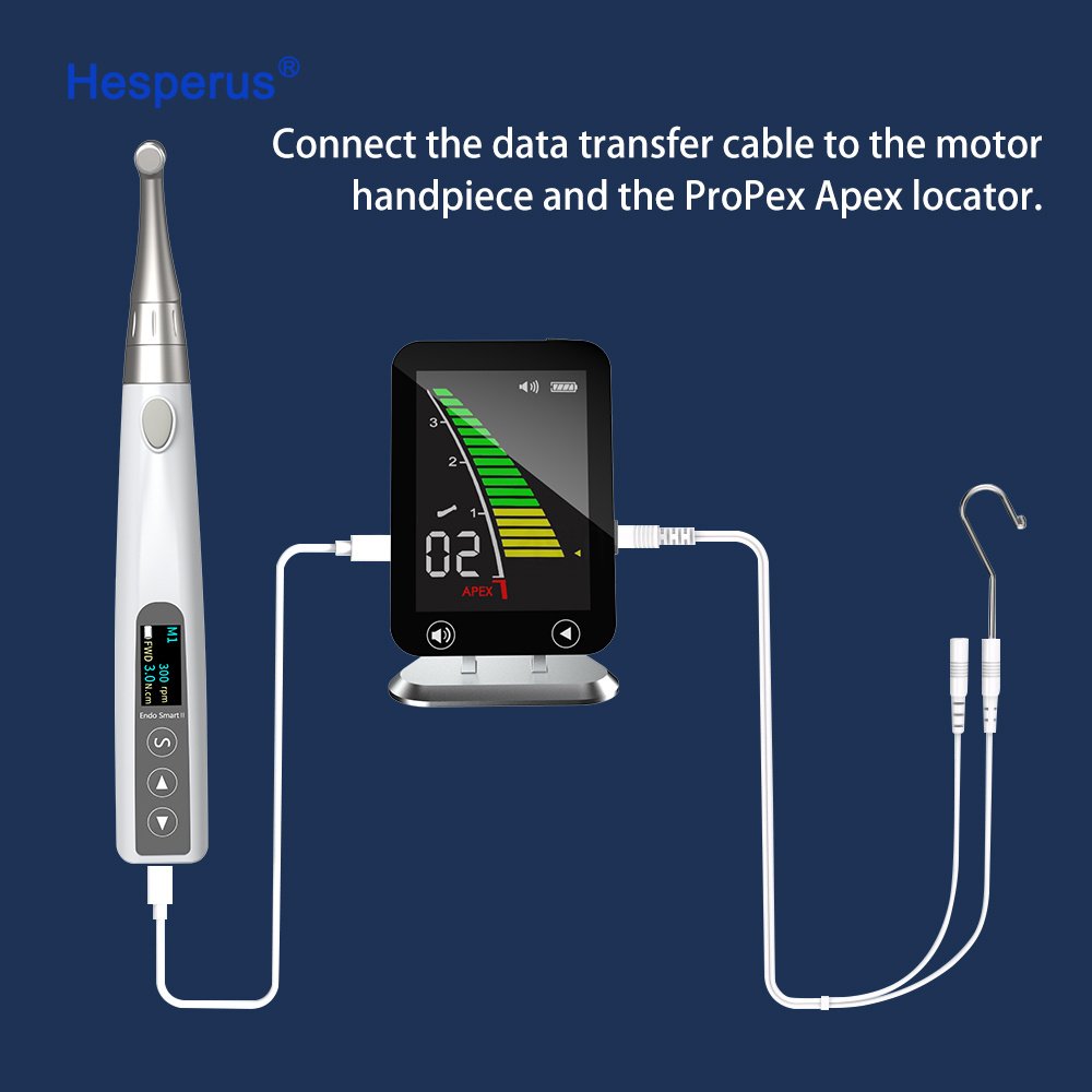 Dental Medicine 1:1 Endo Motor Endodontic handpiece Can Connect To Apex Locator Dental Equipments