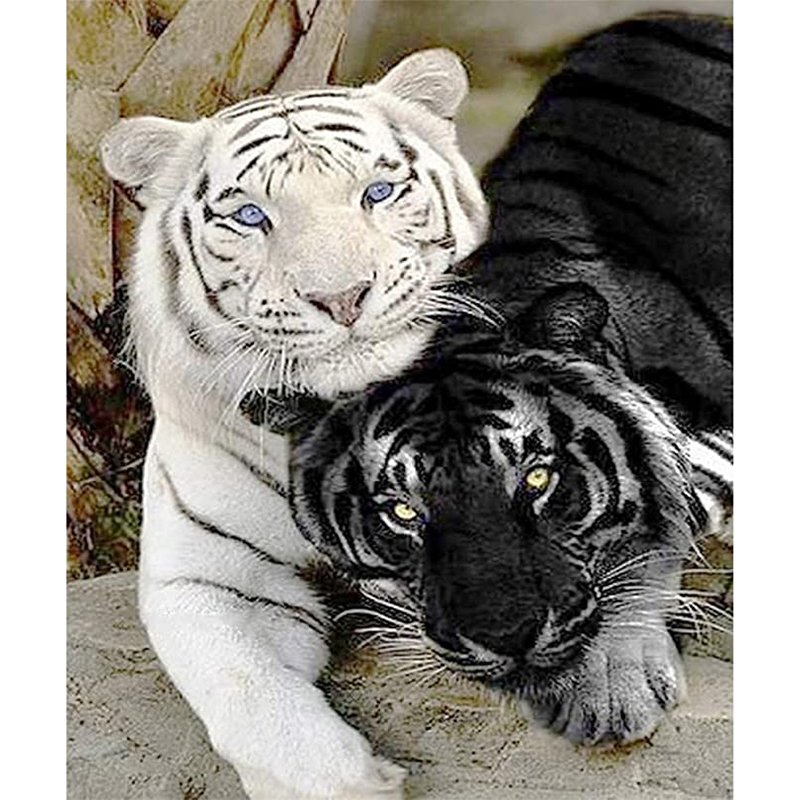 wholesale 5d diamond painting kit animals yiwu ab diamond painting drills crystal diamond painting tiger