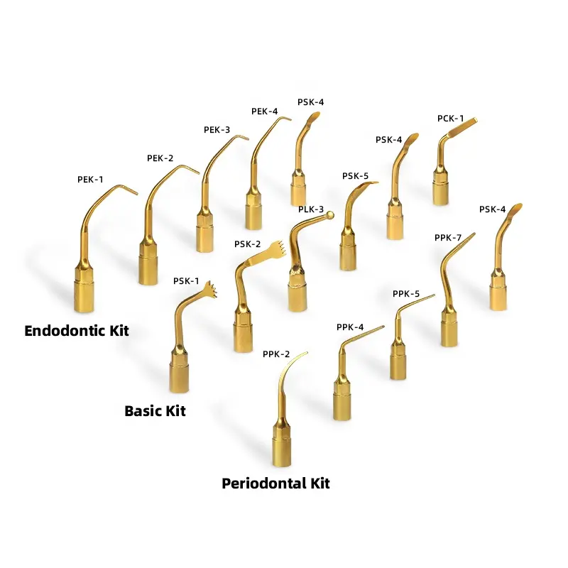 Dental Instrument Bone Cutting Piezo Surgery Piezo Bone Surgery Dental Ultrasonic Surgery Unit