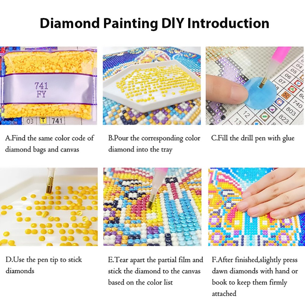 2024 Home Decoration DIY 5d Diamond Painting Kits for Adults Winter Bird Modern Art Canvas of Diamond Painting