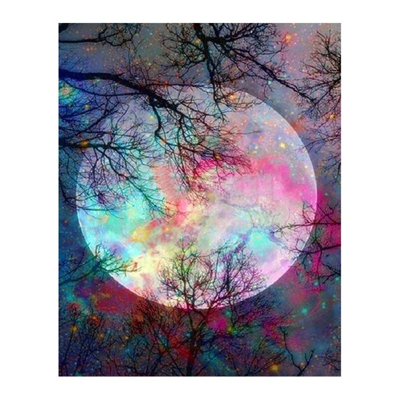 Custom 5D DIY Diamond Painting Kit Full round Crystal Drill Night Moon Scenery Floral Animal Portraits Floral Animal Portraits