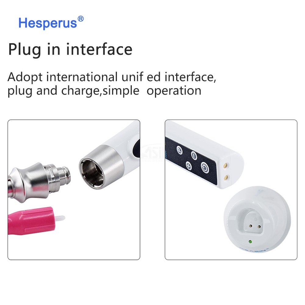 hesperus Dental Endo Motor Endo Straight Prophy Handpiece Endodoncia Cordless Rotary Endomotor