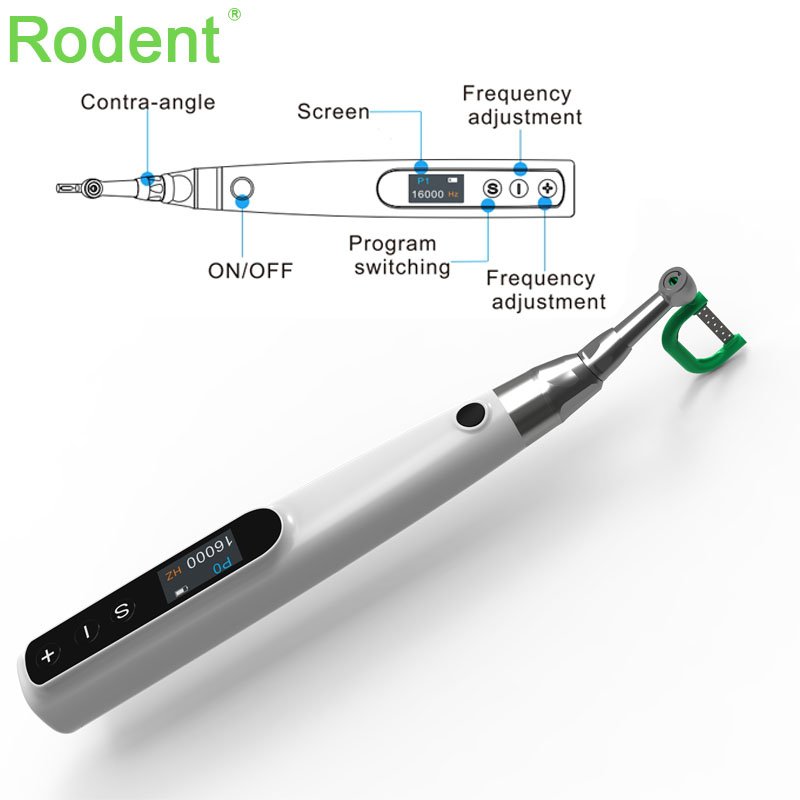 Dental Orthodontics Prophy Motor Wireless Rechargeable Dental Electric Prophy Motor