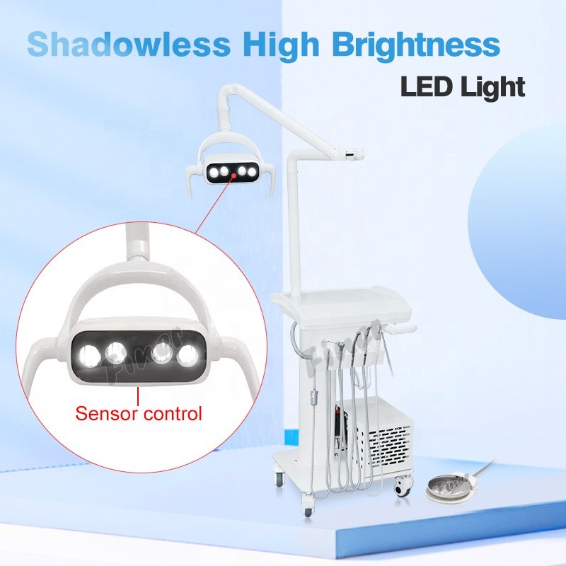 Portable Mobile Dental Unit Cart for veterinary Dental Turbine Unit With Air Compressor