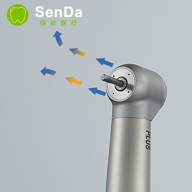 High Speed Low Price Tradition Plus Electric Dental Cartridge Turbine Panamax Air Torque Without Coupler Fast Handpiece