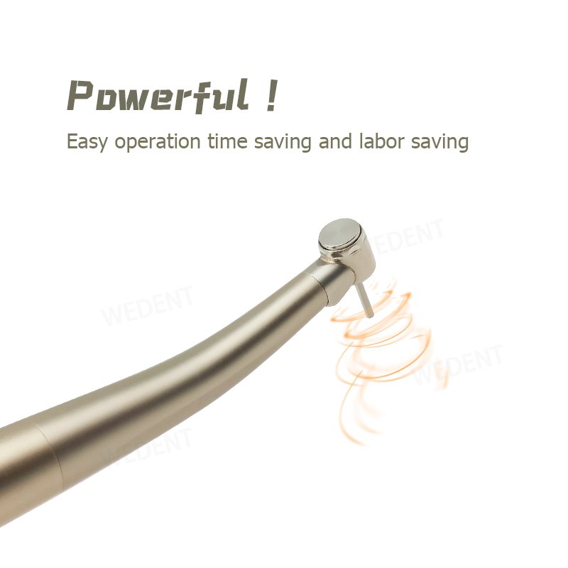 Surgical Instruments 2-hole 4-hole Mini Head Double E-gen LED Light High Speed Push Button Dental Handpiece