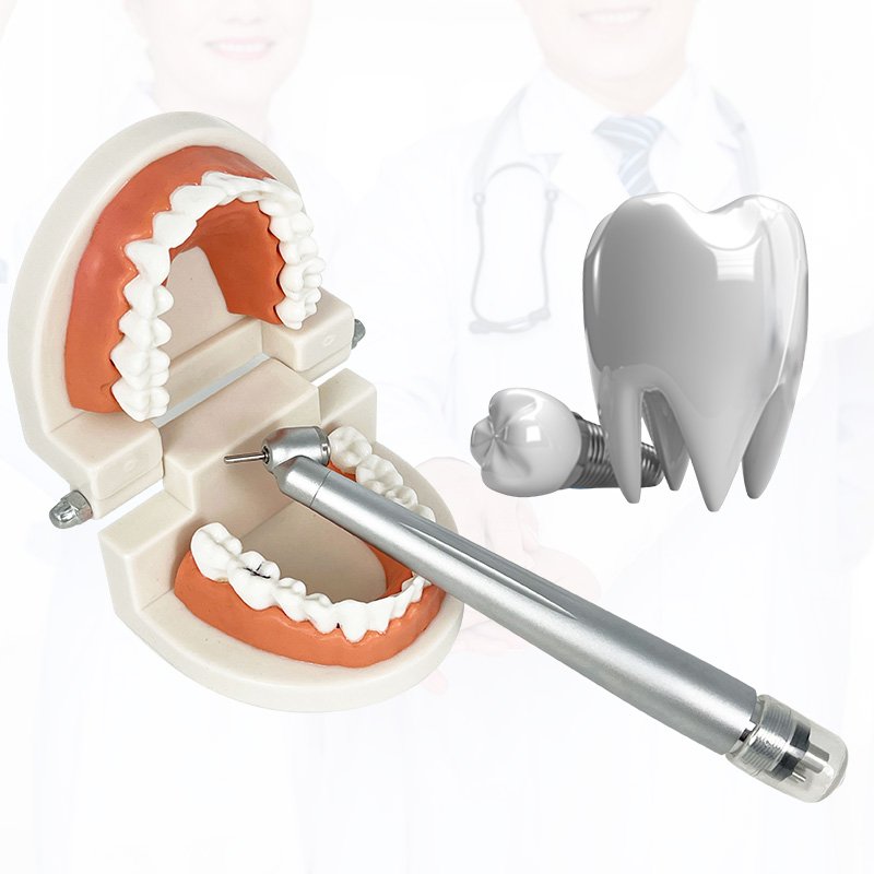 International Standard High Quality 45 Degree Angle Dental Handpiece High Speed Handpiece for Dental Surgery