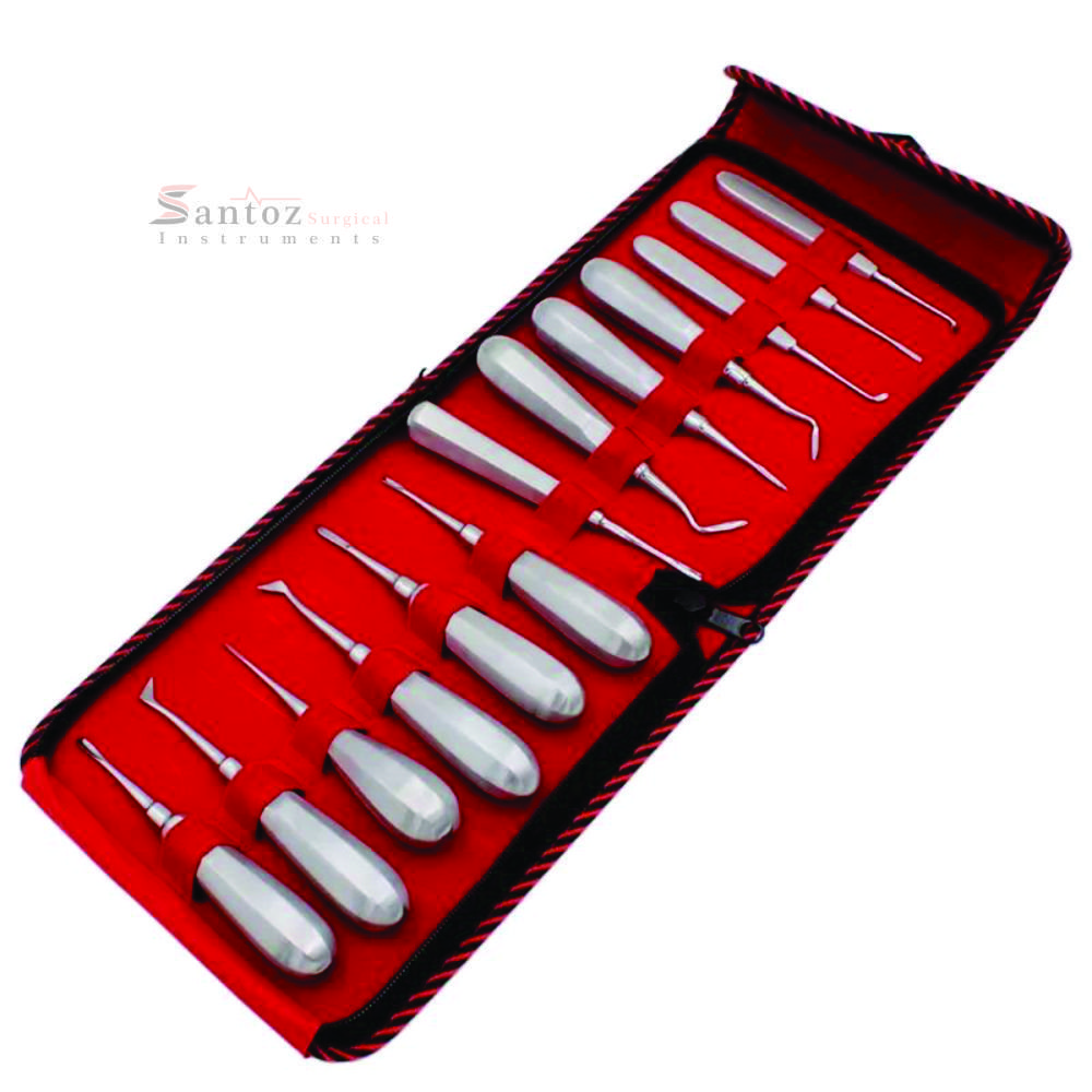 SANTOZ SURGICAL 13Pcs Stainless Steel Dental Elevator Set Reusable Manual Root Elevators with Plastic and Metal Dental Burs
