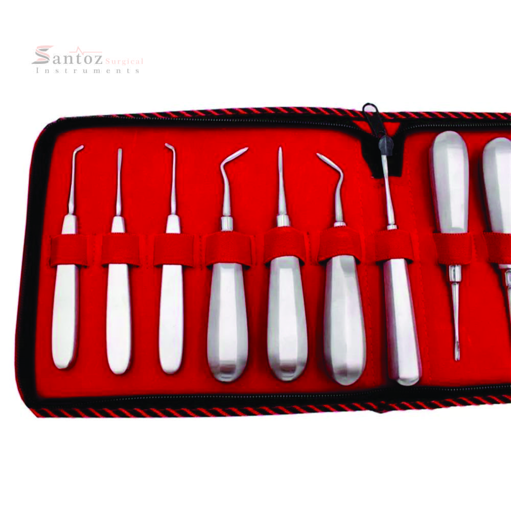 SANTOZ SURGICAL 13Pcs Stainless Steel Dental Elevator Set Reusable Manual Root Elevators with Plastic and Metal Dental Burs