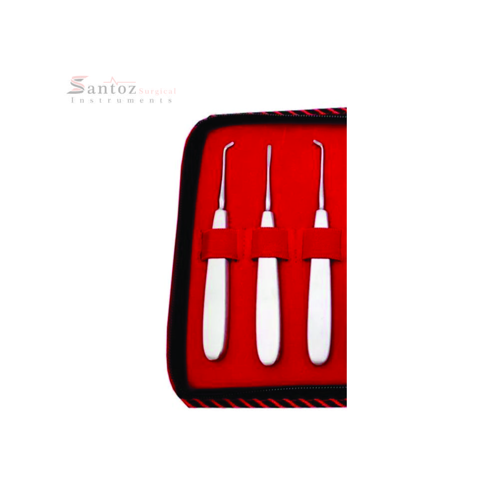 SANTOZ SURGICAL 13Pcs Stainless Steel Dental Elevator Set Reusable Manual Root Elevators with Plastic and Metal Dental Burs