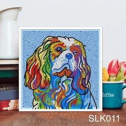 SLK011