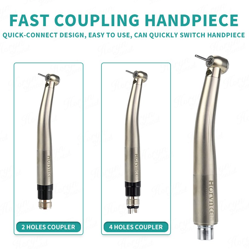 Pana Max Plus Led High Speed Dental Handpiece With 2/4 holes