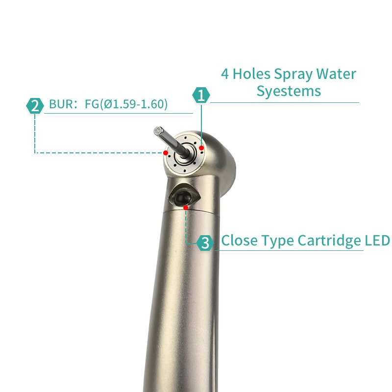 Pana Max Plus Led High Speed Dental Handpiece With 2/4 holes