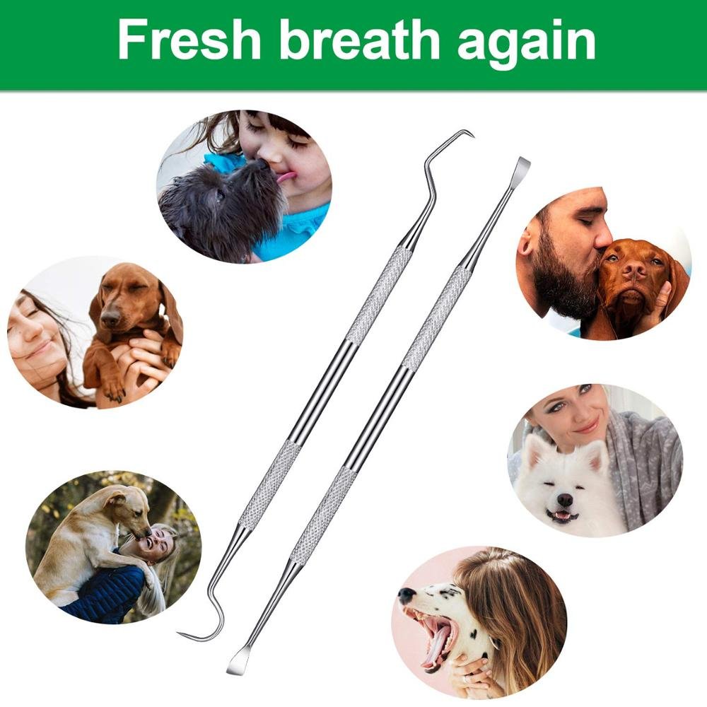Pack of 4 Dental Tooth Pick For Cleaning Oral Teeth Dental Flat Plastic Filling Instruments Titanium Blue Restoration