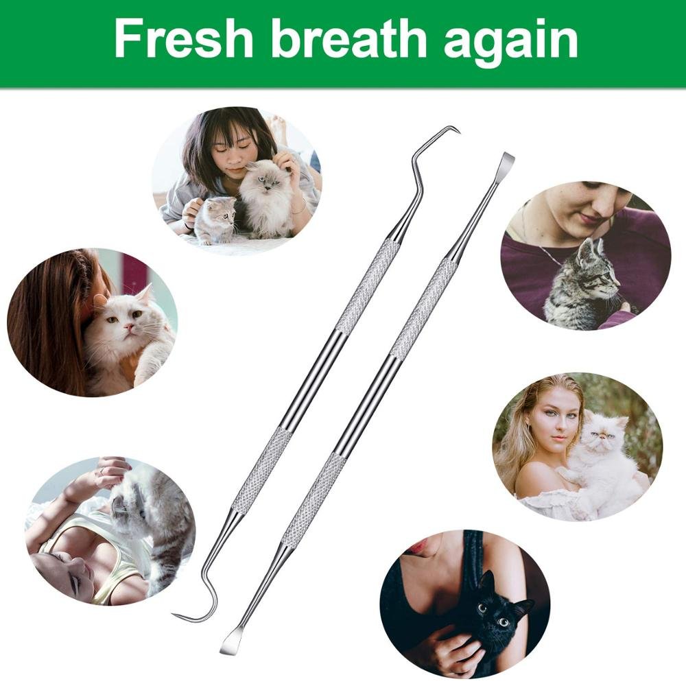 Pack of 4 Dental Tooth Pick For Cleaning Oral Teeth Dental Flat Plastic Filling Instruments Titanium Blue Restoration