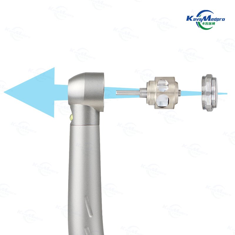 High Quality 2 Holes 4 Holes Standard Head Stainless Steel LED Dental Handpiece For Oral Surgical