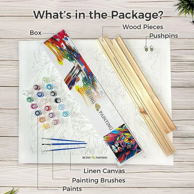 DIY Christmas Canvas Oil Paintings Kit for Living Room Decor
