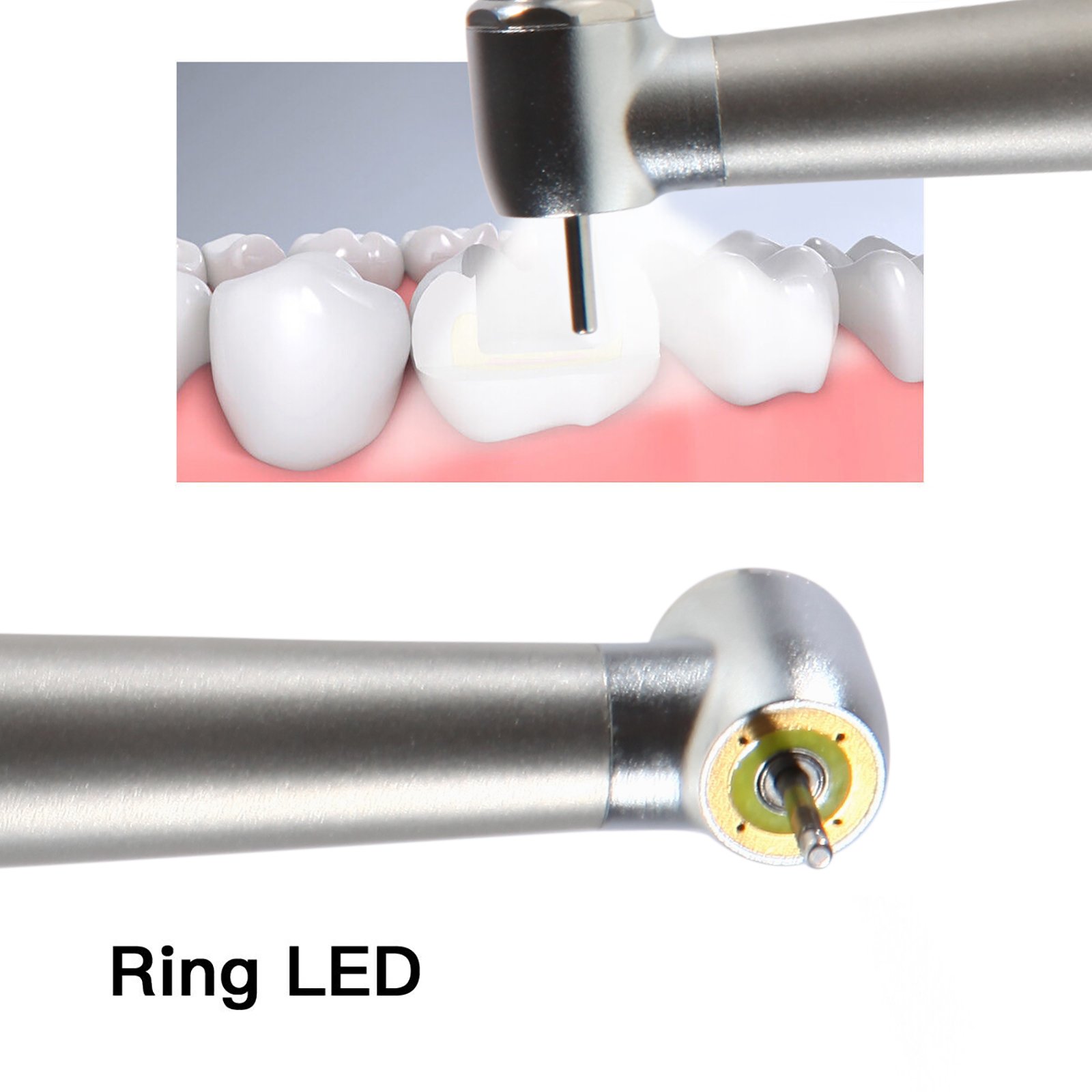 Ring LED Shadowless Standard Head Ceramic Bearing Dental Fiber Optic High Speed Handpiece Four Water Spray E-Generator 4 Holes
