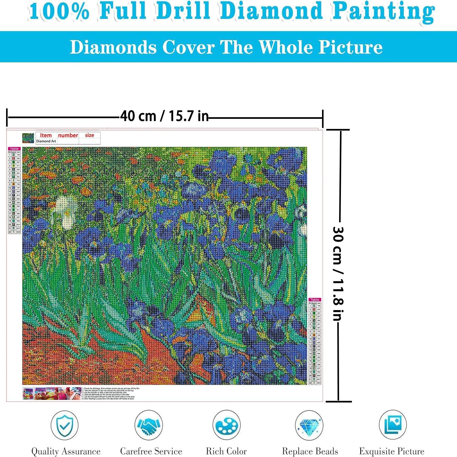 Adult Diamond Painting Set DIY Van Gogh Iris Flower Art 5D Painting Art Home Wall Decoration Painting aesthetic room decor