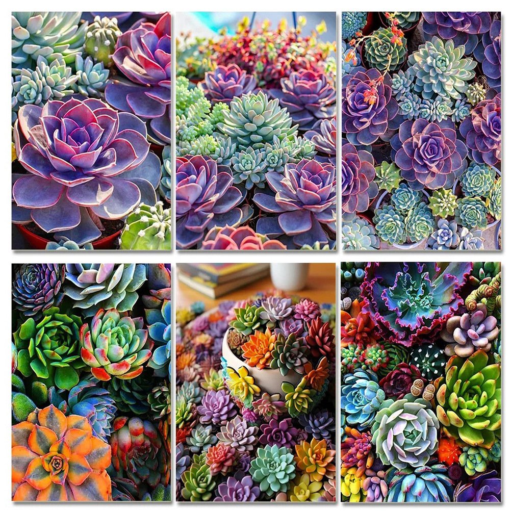 5D Diamond Painting Kits for Adults Succulents Diy Diamond Painting Landscape 5D Diy Diamond Painting Kits Flower