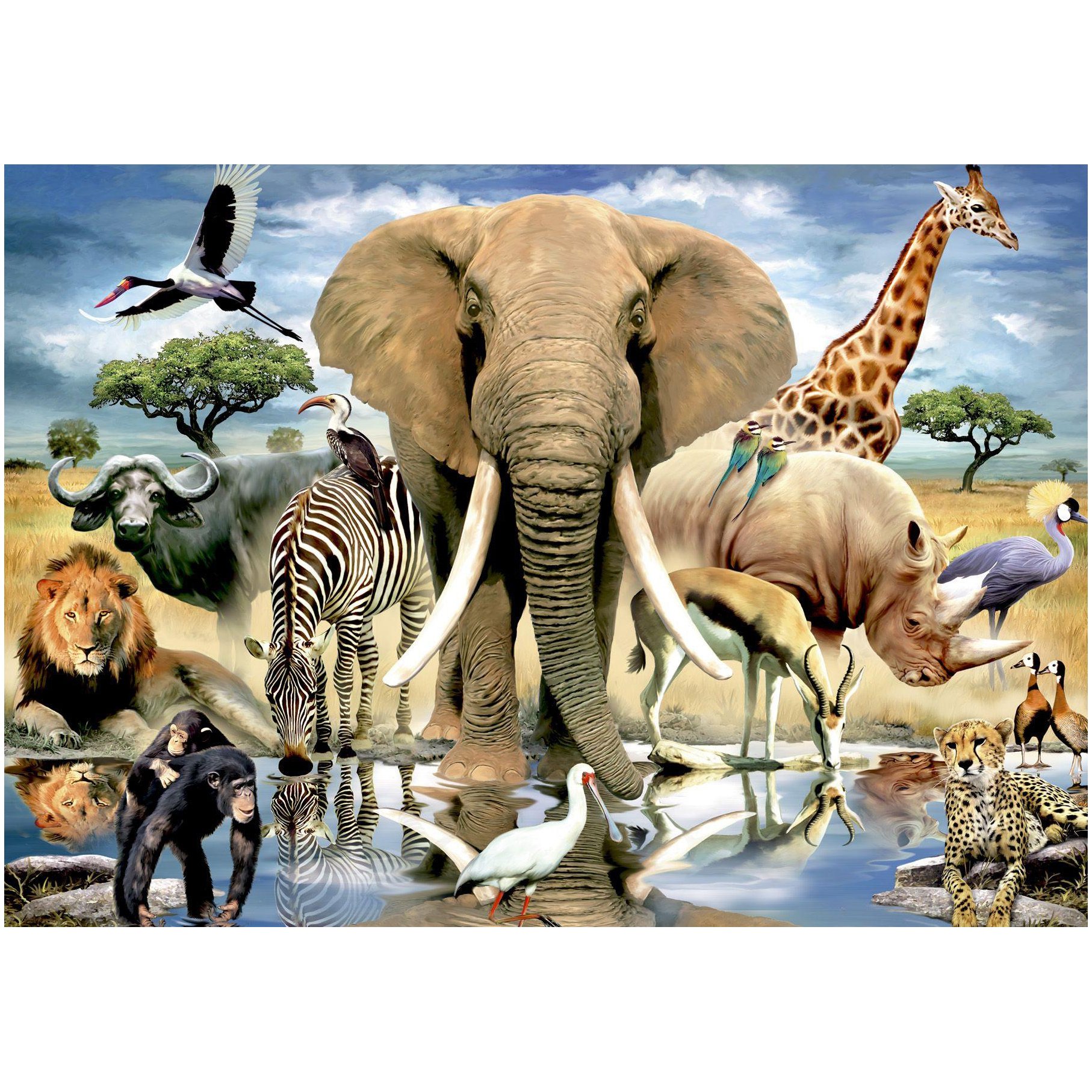 wild Animal painting fancy colored wilde dieren Custom picture Artwork Gift Mosaic DIY Diamond Painting for Home Decoration
