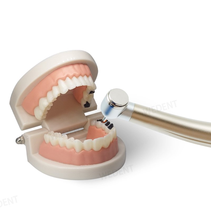 WEDENT Dental Equipments 2-hole 4-hole High Speed Dental Turbine Best Price Air-driven Standard Dental Handpiece