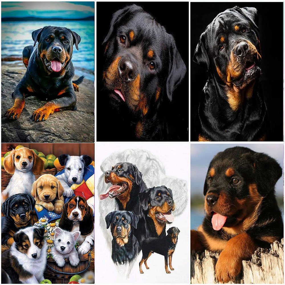 Meian wholesale dog rottweiler Handmade Needlework DIY Diamond painting of a diamond Painting Canvas Wall Art