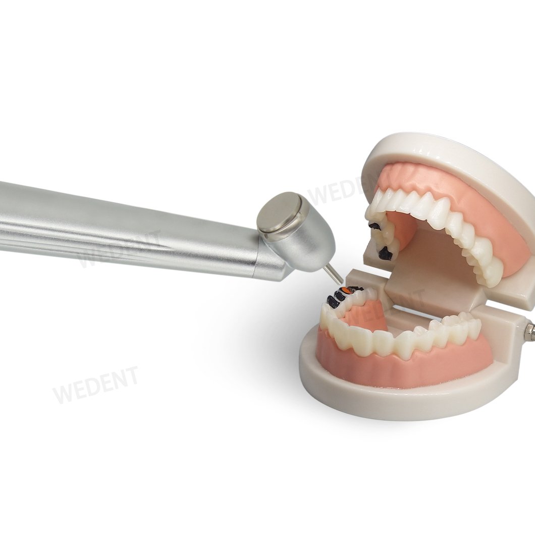 Wedent Factory Price Surgical Instruments Air Turbine 45 Degree Angled Head 2/4 Holes Rear Exhaust Dental High Speed Handpiece
