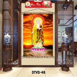 DTV48