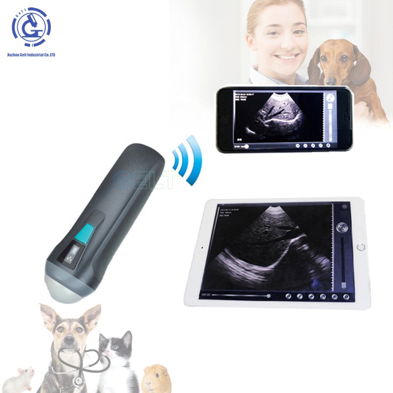 PET Medical Ultrasound Instrument Veterinary Handheld Wireless Ultrasound Scanner With Rectal Probe