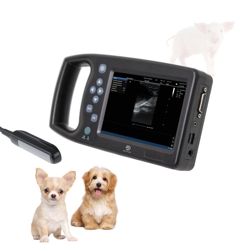 Water Proof Bovine Equine Cattle Vet Ultrasound Scan Equipment Handheld Portable Veterinary Ultrasound Machine Usg for Cow