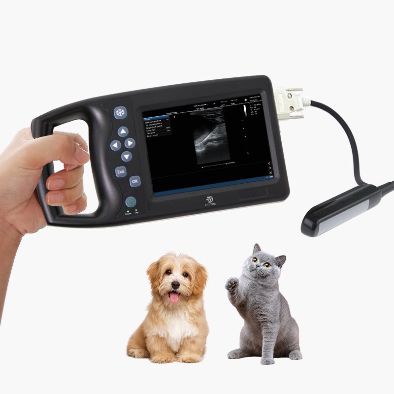 Water Proof Bovine Equine Cattle Vet Ultrasound Scan Equipment Handheld Portable Veterinary Ultrasound Machine Usg for Cow