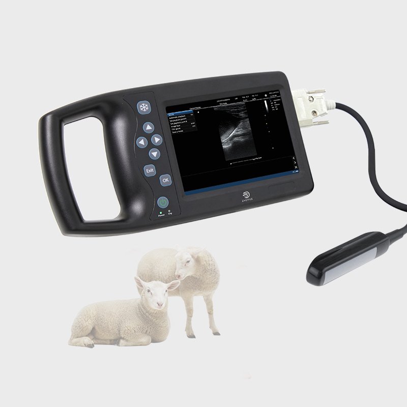 Water Proof Bovine Equine Cattle Vet Ultrasound Scan Equipment Handheld Portable Veterinary Ultrasound Machine Usg for Cow