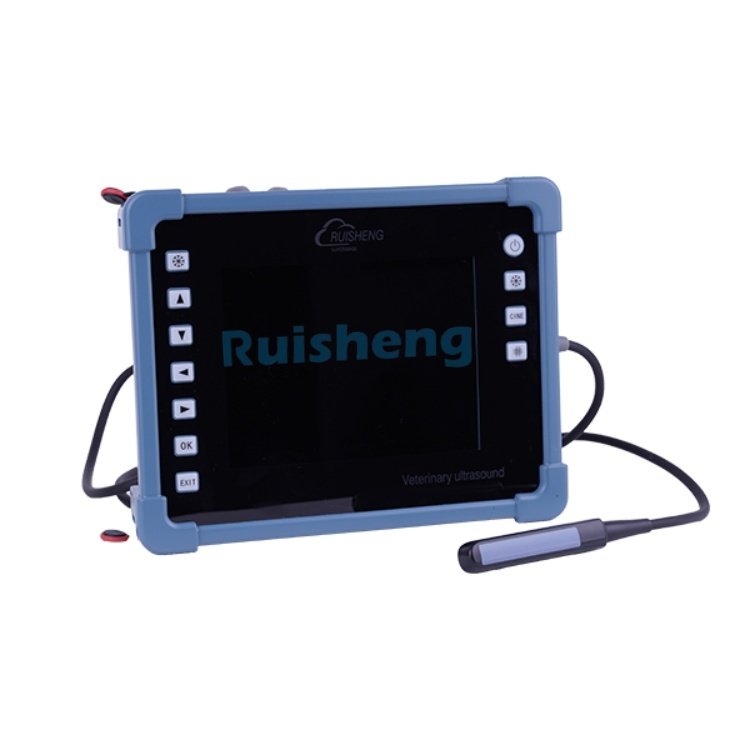 8 inch LED screen medical equipment portable handle digital B ultrasound machine for animals cattle dog veterinary equipment