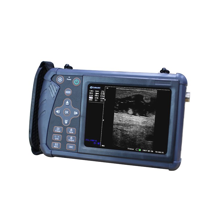 YSB-S1V Ysenmed Medical Animal Portable Veterinary BW Ultrasound Machine black and white Handheld Veterinary Ultrasound Scanner