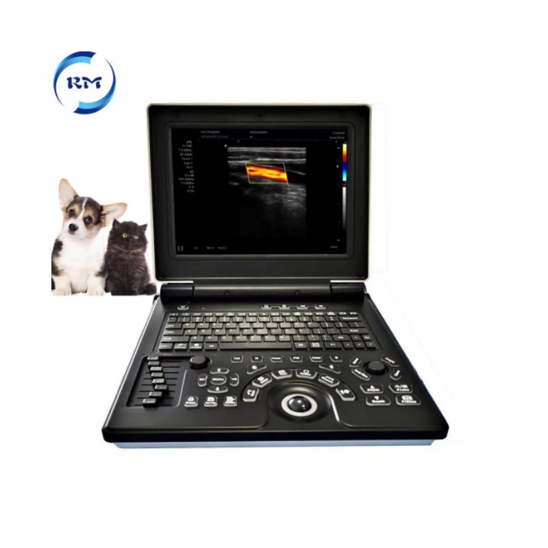 Veterinary 3D Ultrasound Machine Vet Portable Ultrasound Machine System For Animal