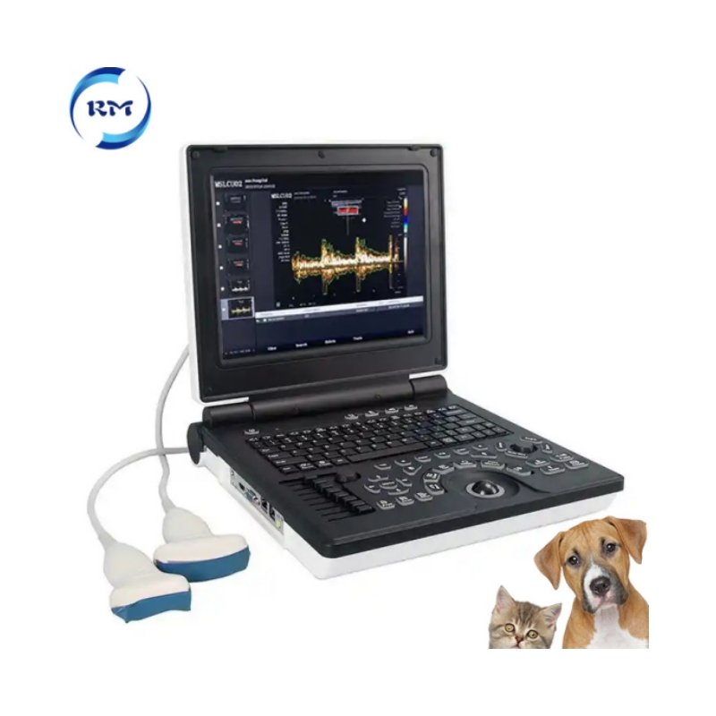 Veterinary 3D Ultrasound Machine Vet Portable Ultrasound Machine System For Animal