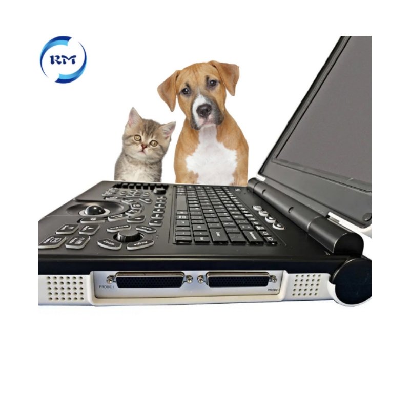 Veterinary 3D Ultrasound Machine Vet Portable Ultrasound Machine System For Animal