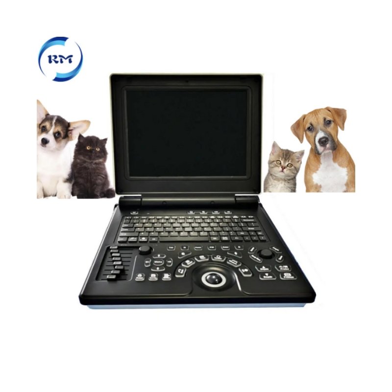 Veterinary 3D Ultrasound Machine Vet Portable Ultrasound Machine System For Animal