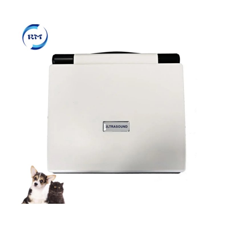 Veterinary 3D Ultrasound Machine Vet Portable Ultrasound Machine System For Animal